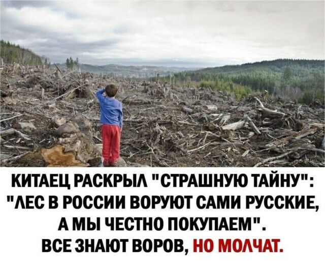 ь КИТАЕЦ РАСКРЫА СТРАШНУЮ ТАЙ НУ АЕС В РОССИИ ВОРУЮТ САМИ РУССКИЕ А МЫ ЧЕСТНО ПОКУПАЕМ ВСЕ ЗНАЮТ ВОРОВ 0 МЭАЧАТ