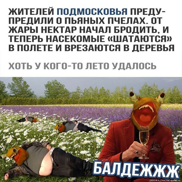 ЖИТЕЛЕЙ подмосковья ПРЕДУ ПРЕДИЛИ о пьяных ПЧЕЛАХ от ждры НЕКТАР НАЧАЛ БРОДИТЬ и ТЕПЕРЬ НАСЕКОМЫЕ шдтдются в ПОЛЕТЕ и ВРЕздются в дЕРЕвья ХОТЬ У КОГО ТО ЛЕТО УДАЛОСЬ
