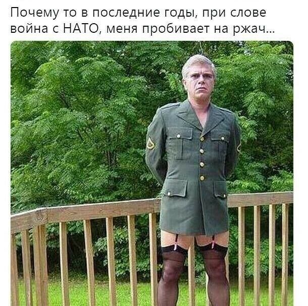 Почему то в последние годы при слове война с НАТО меня пробивает на ржач