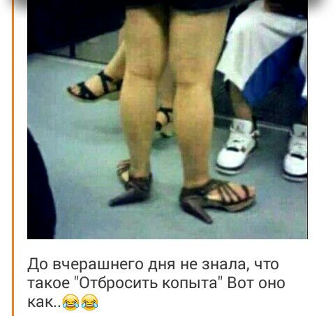 До вчерашнего дня не знала что такое Отбросить копыта Вот оно как Ь