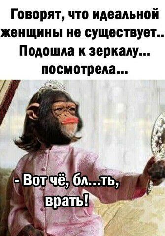 Говорят чта идемыюй жеи щины не существует Подошла к зеркалу посмотрела