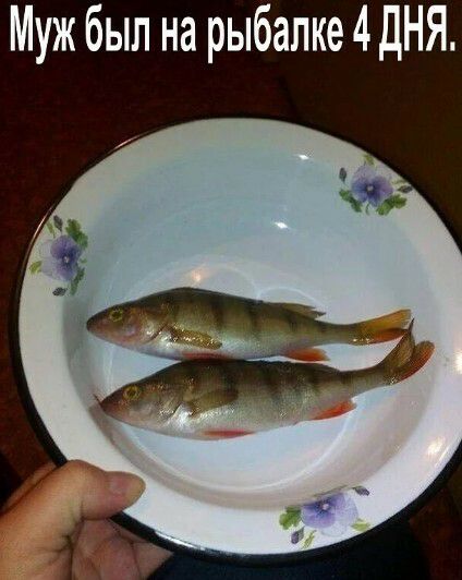 Муж был на рыбалке 4 ДНЯ