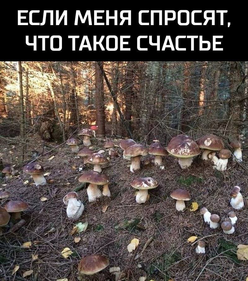 ЕСЛИ МЕНЯ СПРОСЯТ ЧТО ТАКОЕ СЧАСТЬЕ
