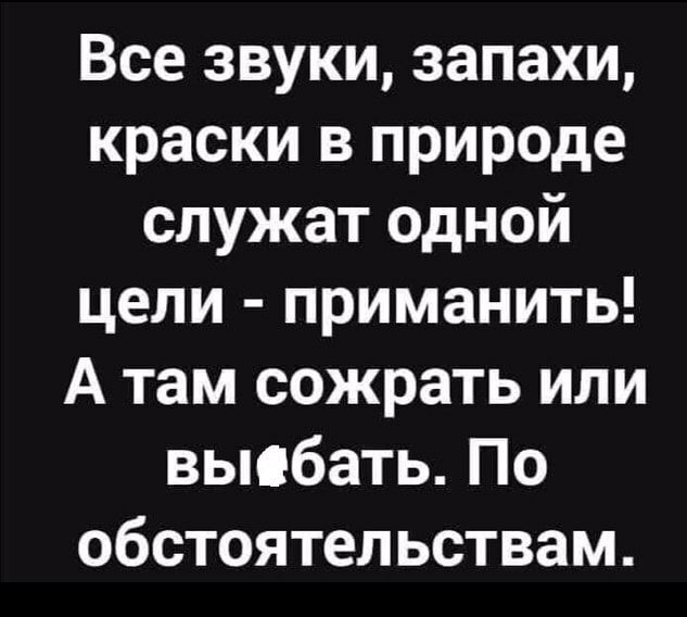 Все звуки запахи краски в природе служат одной цели приманить А там сожрать или вьюбать По обстоятельствам