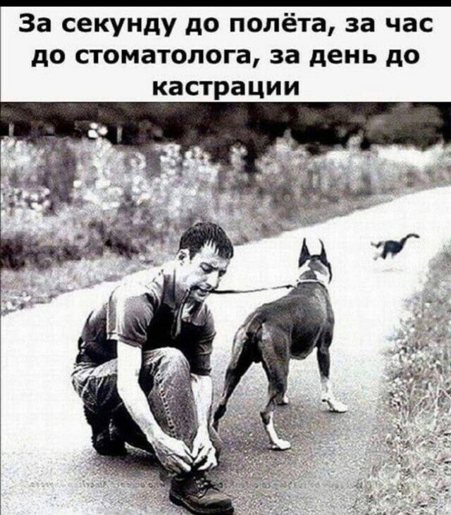 За секунду до полёта за час до стоматолога за день до КЗСТРЗЦИИ