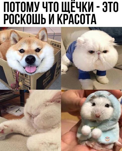 Потому что щечки  это роскошь и красота  : ь '