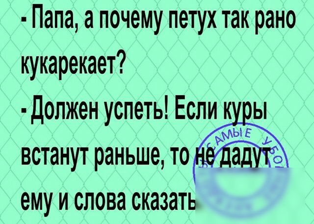 Папа а почему петух так рано кукарекает Допжен успеть Еслик ы ЫЕ 1 встанутраньшето а 9 ему И СЛОВН СКЭЗЗТЬ