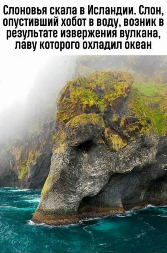 Слоновья скала в Исландии Слон опустившии хобот в воду возник в результате извержения вулкана паву которого охладип океан