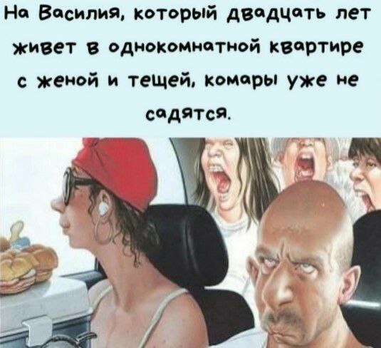 На Василия который двадцать лет живет в однокомнатной касртире женой и тещей Коморы уже не садяТся