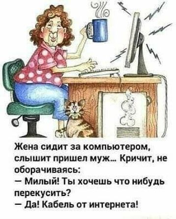 Жена сидит за компьютером слышит пришел муж Кричит не оборачиваясь Милый Ты хочешь что нибудь перекуст да Кабель от интернета