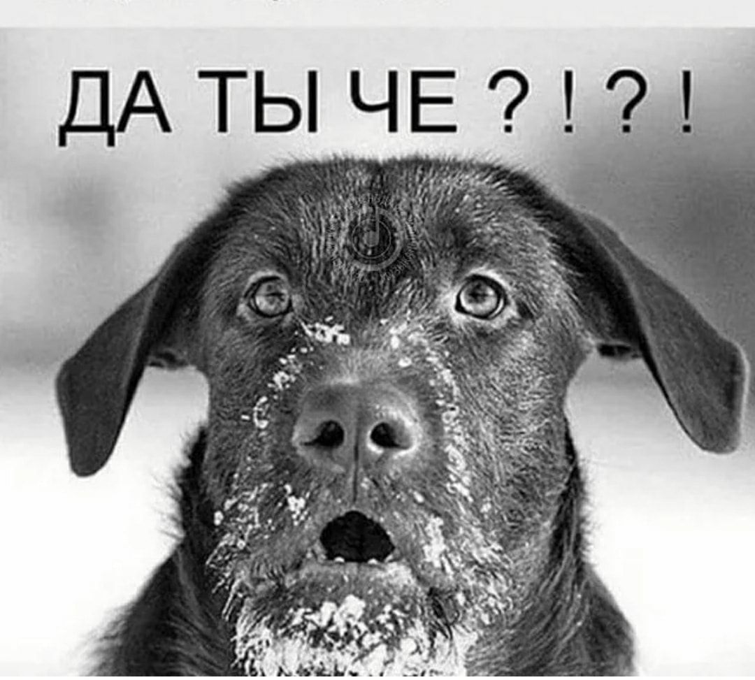 Да ты че 2 124