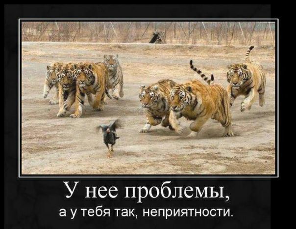 У нее проблемы 2 У тебя ТЭК НеПрИЯТНОСТИ