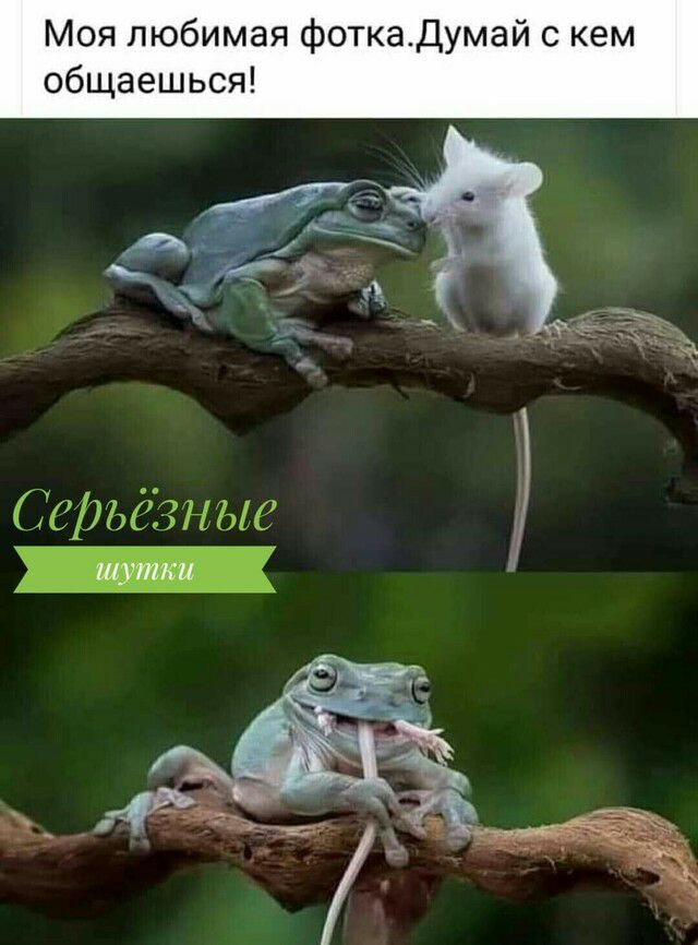 Моя любимая фоткадумай с кем общаешься