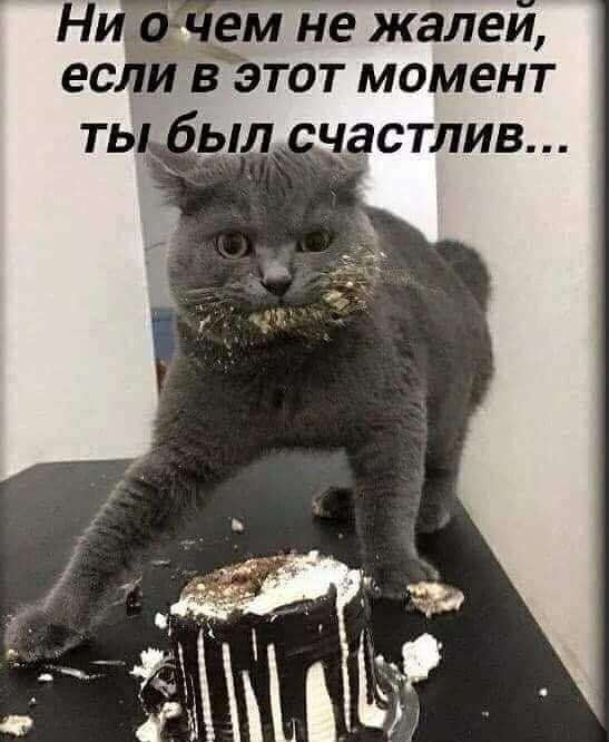 Ни ем не жалеи