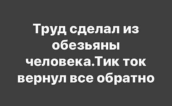 Труд сделал из обезьяны человекаТик ток вернул все обратно