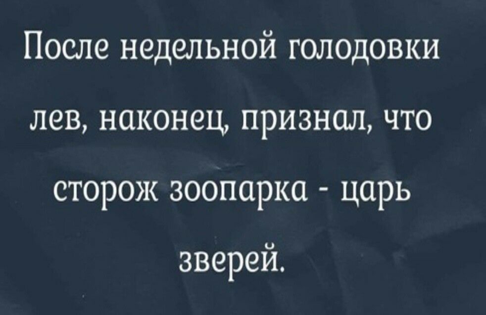 После недельной голодовки левнаконецпризналчто сторонзоопарка царь зверей