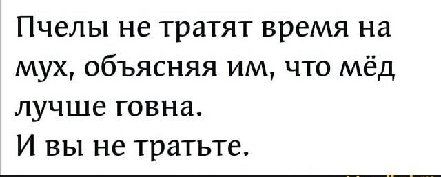 Пчелы не тратят время на мух объясняя им что мёд лучше говна И вы не тратьте