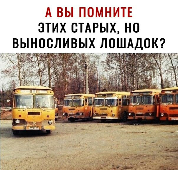 А БЫ ППЗШЪЫЙТЕ ЭТИХ СТАРЫХ НО ВЫНОСЛИВЫХ ЛОШАДОК