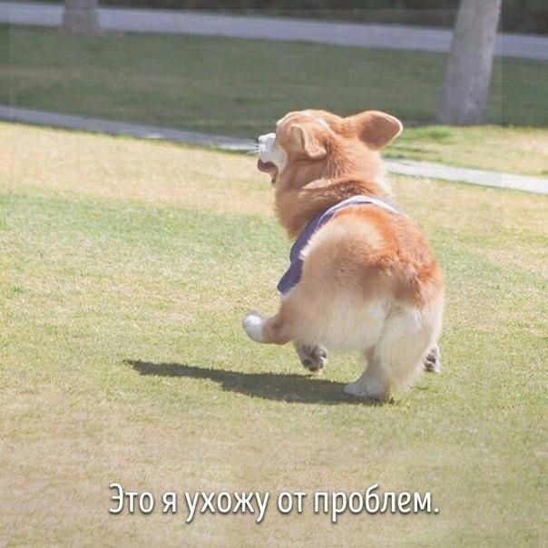 щщб