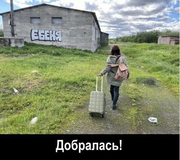 добралась