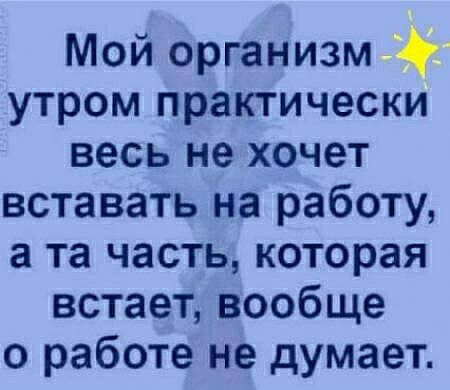 Мой организм утром практически весь не хочет вставать на работу а та часть которая встает вообще о работе не думает