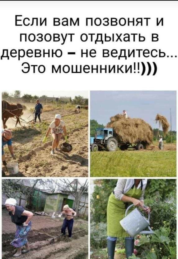 Если вам позвонят и позовут отдыхать в деревню не ведитесь Это мошенники