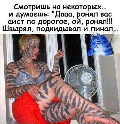 Смотришь на некоторых и думаешь Дааа вонял вас аист по дорогое ои ронял Швырял подкидывап и пин