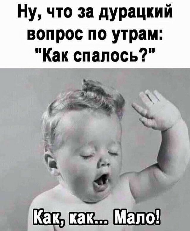 Ну что за дурацкий вопрос по утрам Как спалось
