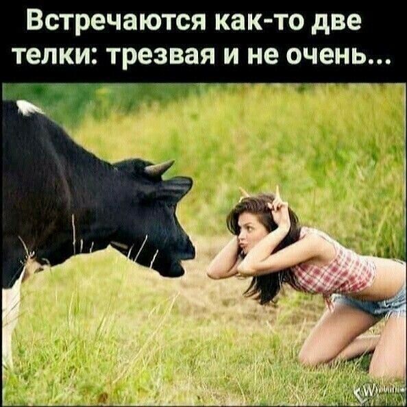 Встречаются как то две телки ТРЭЗВЗЯ И не ОЧЕНЬ