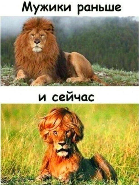 Мужики раньше