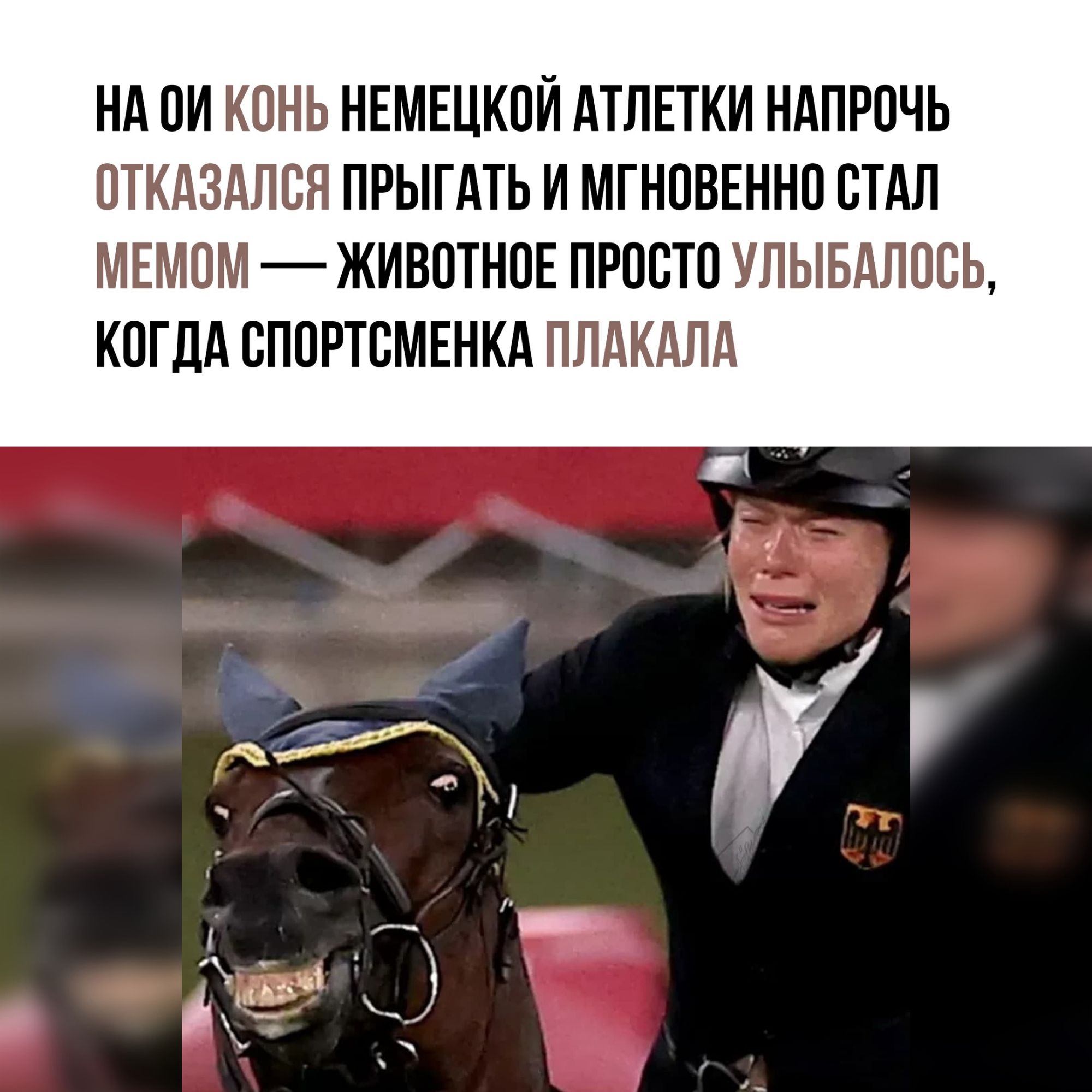 НА ОИ КОНЬ НЕМЕЦКОЙ АТЛЕТКИ НАПРОЧЬ ПТКАЗАЛВЯ ПРЫГАТЬ И МГНОВЕННП СТАЛ МЕМПМ ЖИВОТНОЕ ПРОСТО УЛЫБАЛОВЬ КОГДА СППРТВМЕНКА ПЛАКАЛА