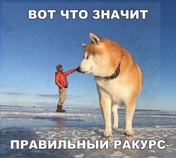 ВОТ ЧТО ЗНАЧИТ