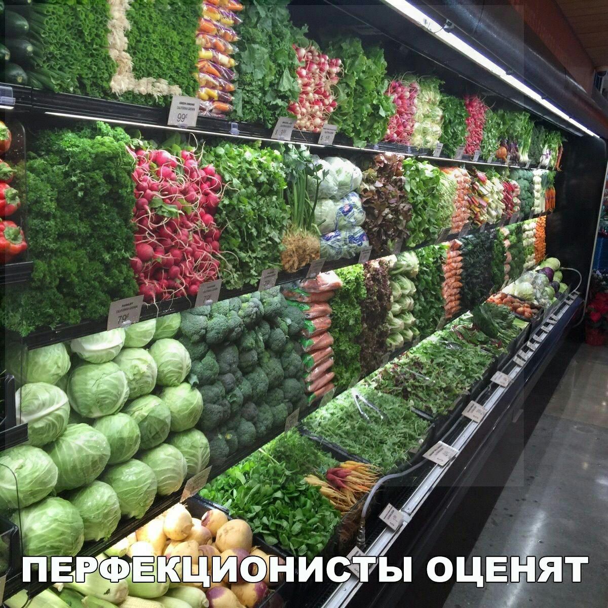 тм Ё А КЦНОНИЙРЬ ОЦаЯТ