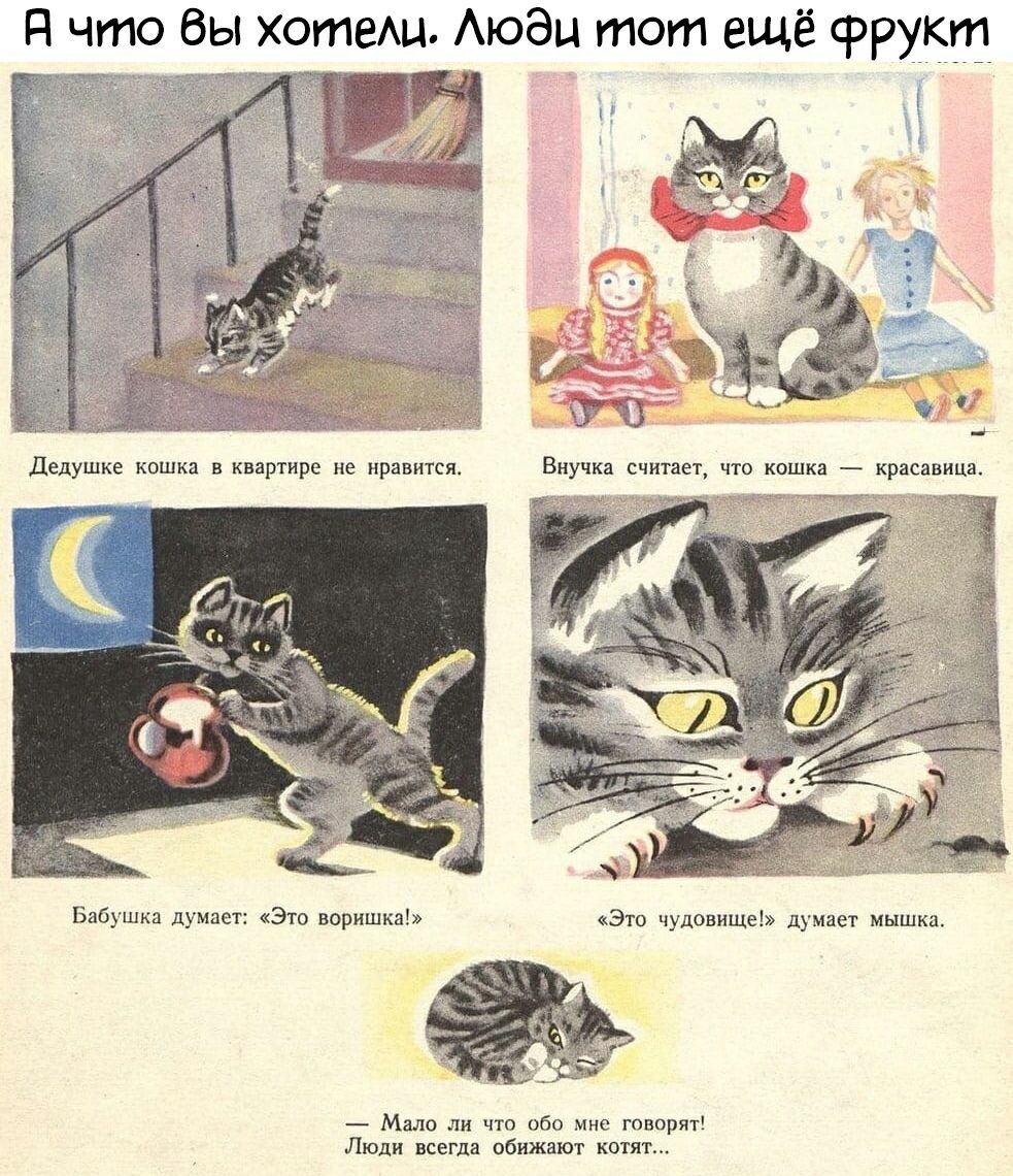 Я что бы хотеАц АюЭц тот ещё фрукт Дедушке КОШКЗ В КВЗРТНРЕ не нравится Мало ли что обо мне говорят Люди всегда обижают котят