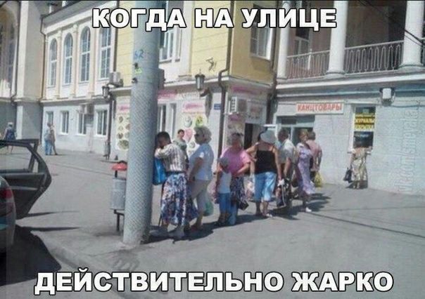 ЬНФ ЖАРКФ