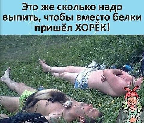 Это же сколько надо выпить чтобы вме_сто белки пришёл ХОРЁК