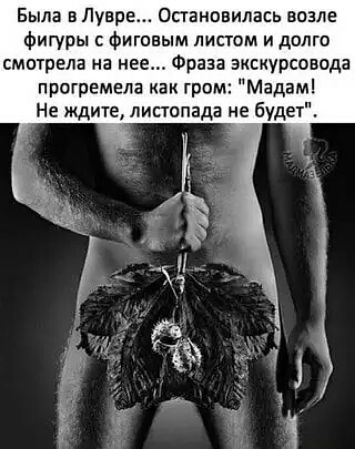 Была в Лувре Остановилась возле фигуры с фиговым листом и долго смотрела на нее Фраза экскурсовода прагремела как гром Мадам Не ждите листопада не будет