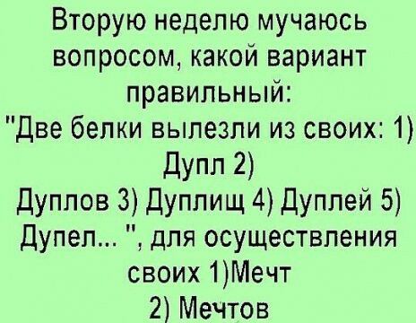 Вторую неделю мучаюсь вопросом какой вариант правильный Две белки вылезли из своих 1 дупп 2 Дуппов 3 Дуплищ 4 Дуплей 5 Дупеп для осуществления своих 1Мечт 2 Мечтов