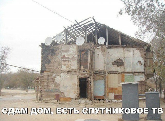 ТЬ П ТНИКОВОЕ ТВ