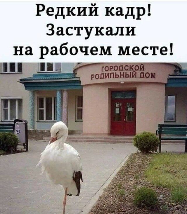 Редкий кадр Застукали на рабочем месте