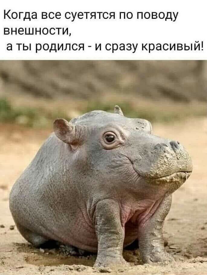 Когда все суетятся по поводу внешности а ты родился и сразу красивый