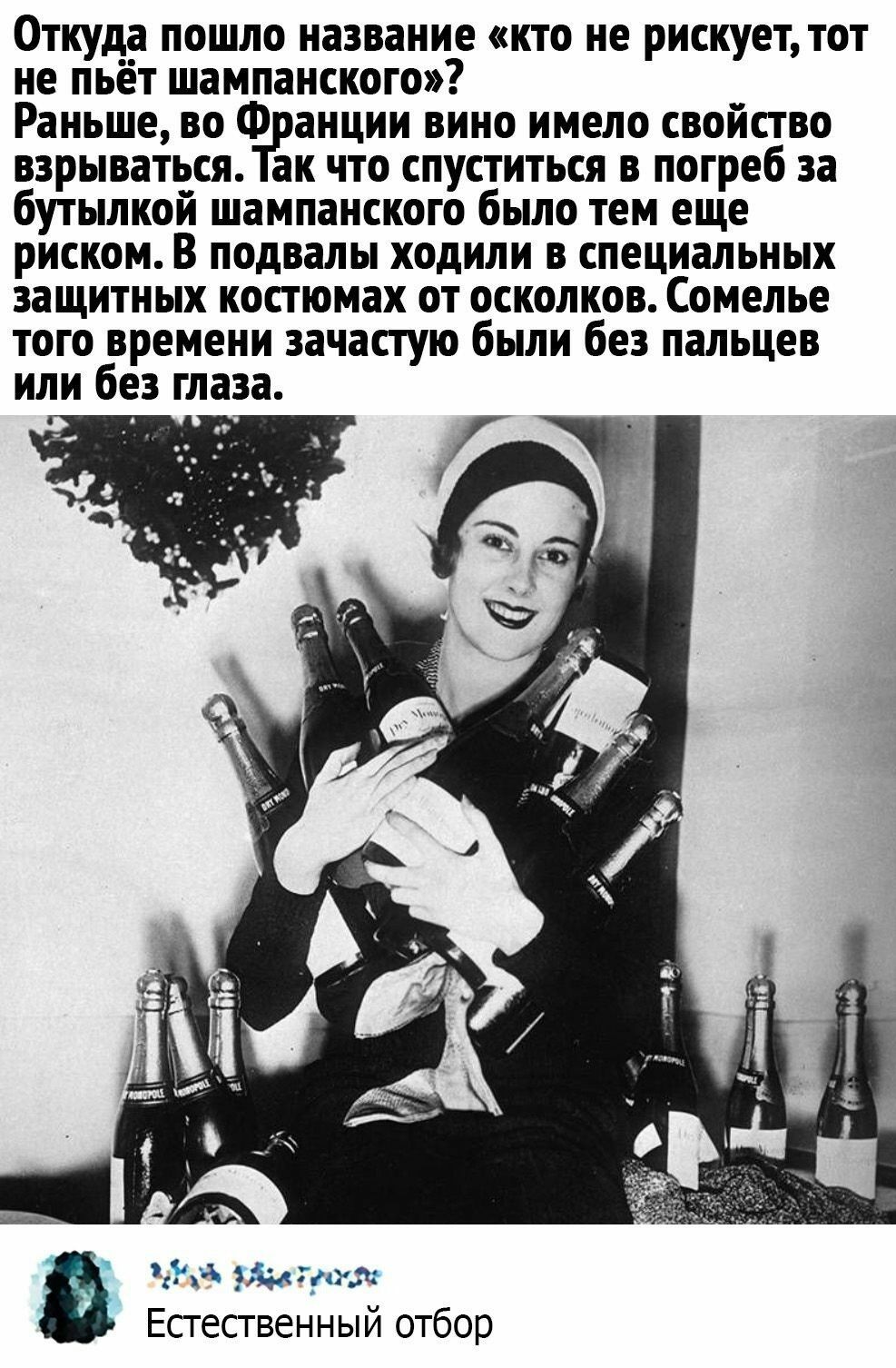 Откуда пошло название кто не рискует тот не пьёт шампанского Раньше во Ф анции вино имело свойство взрываться ак что спуститься в погреб за бутылкой шампанского было тем еще риском В подвалы ходили в специальных защитных костюмах от осколков Сомелье того времени зачастую были без пальцев или без глаза го 175 ЭВМ 139 Естественный отбор