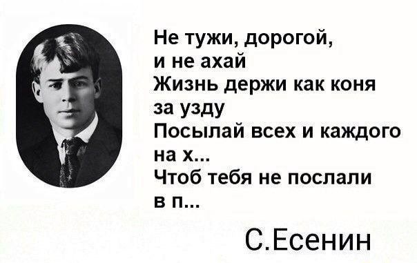 Не тужи дорогой и не ахай Жизнь держи как коня 33 У3дУ Посылай всех и каждого на х Чтоб тебя не послали в п СЕсенин