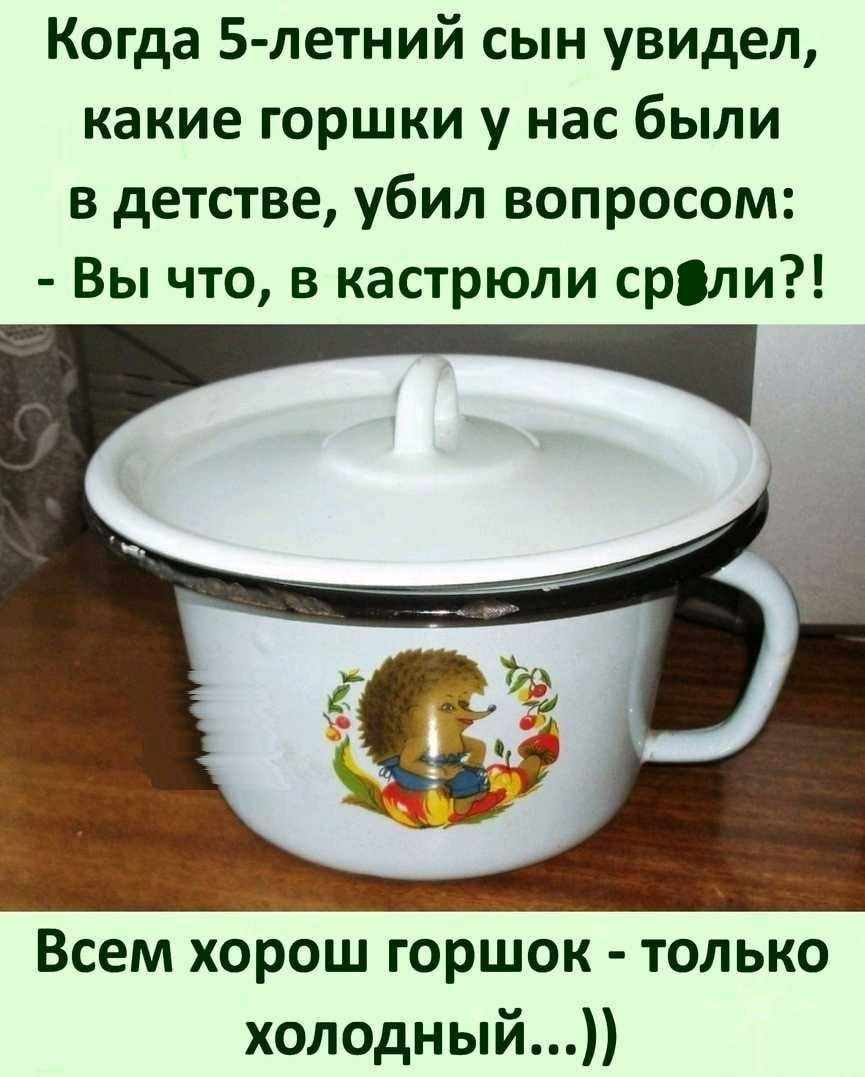 Когда 5 летний сын увидел какие горшки у нас были в детстве убил вопросом Вы что в кастрюли сріли Всем хорош горшок только холодный