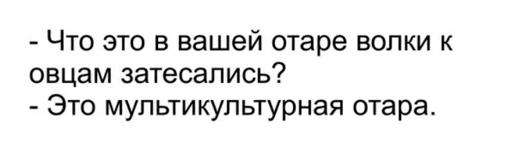 Что это в вашей отаре волки к овцам затесапись Это мультикупьтурная отара