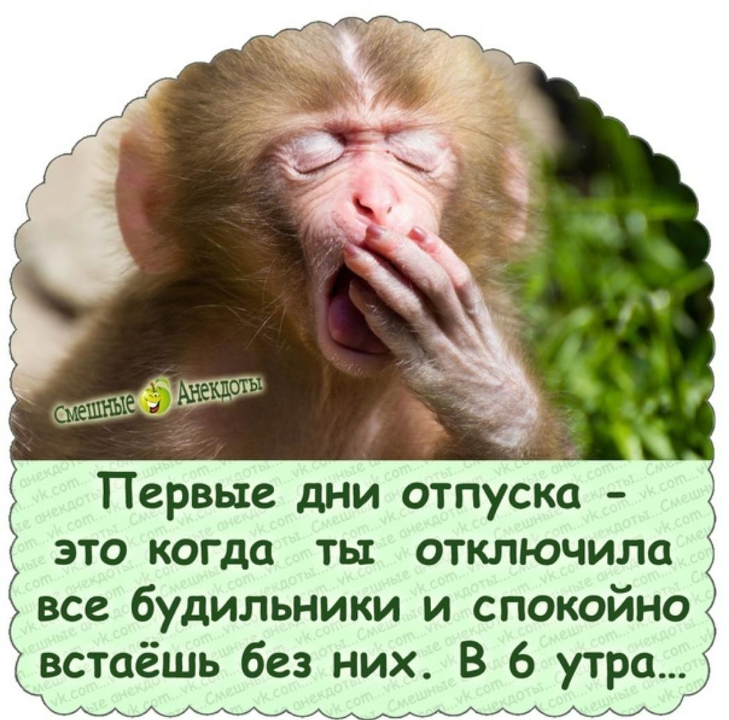 это когда ты отключила все будильники и спокойно встаёшь без них В 6 утра