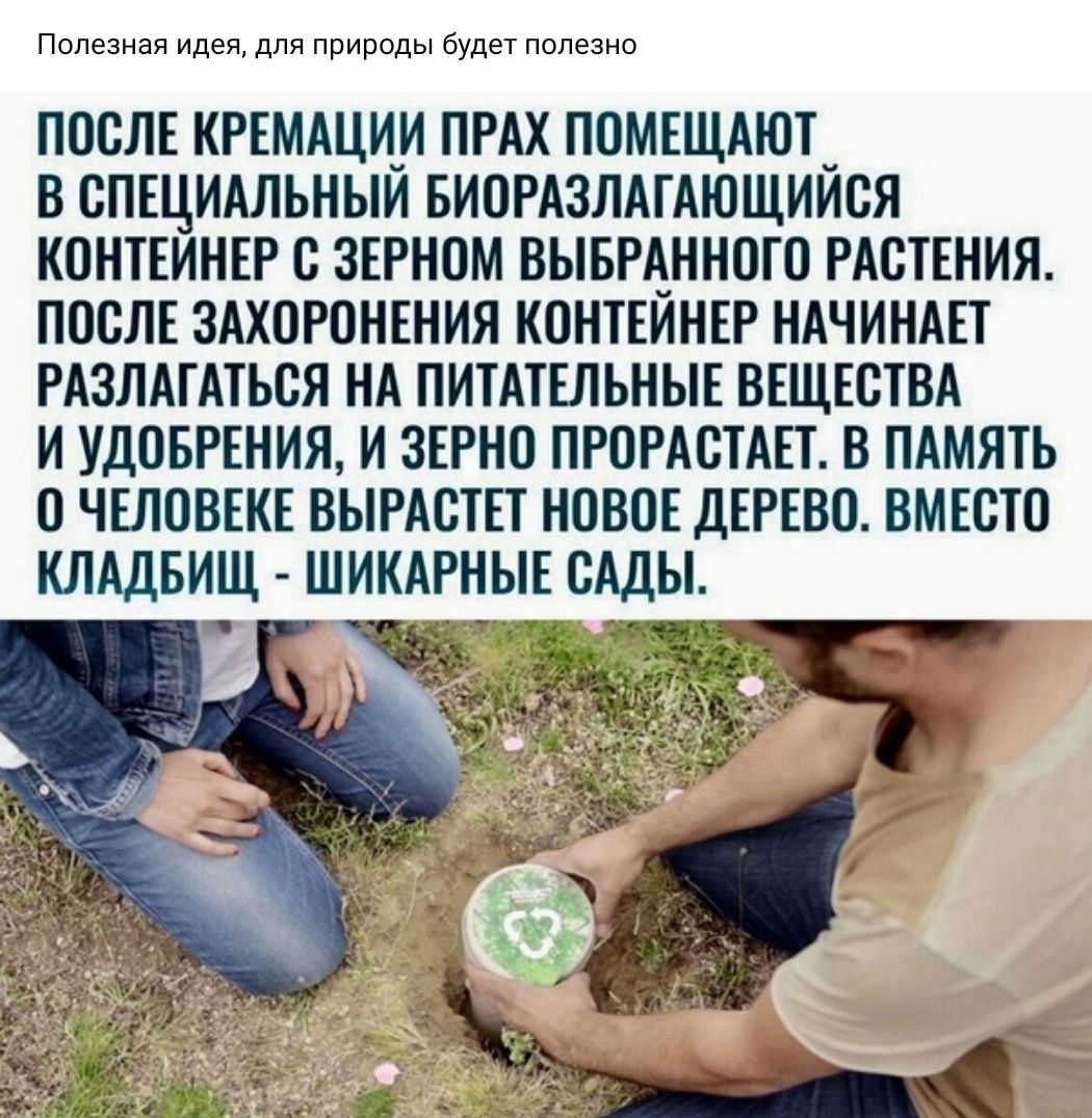 Полезная идея для природы будет полезно ПОСЛЕ КРЕМАЦИИ ПРАХ ПОМЕЩАЮТ В СПЕЦИАЛЬНЫЙ БИОРАЗЛАТАЮЩИЙСЯ КОНТЕИНЕР С ЗЕРНОМ ВЫБРАННОТО РАСТЕНИЯ ПОСЛЕ ЗАХОРОНЕНИЯ КОНТЕИНЕР НАЧИНАЕТ РАЗЛАТАТЬСЯ НА ПИТАТЕЛЬНЫЕ ВЕЩЕСТВА И УДОБРЕНИЯ И ЗЕРНО ПРОРАСТАЕТ В ПАМЯТЬ О ЧЕЛОВЕКЕ ВЫРАСТЕТ НОВОЕ ДЕРЕВО ВМЕСТО КЛАДБИЩ ШИКАРНЫЕ САДЫ