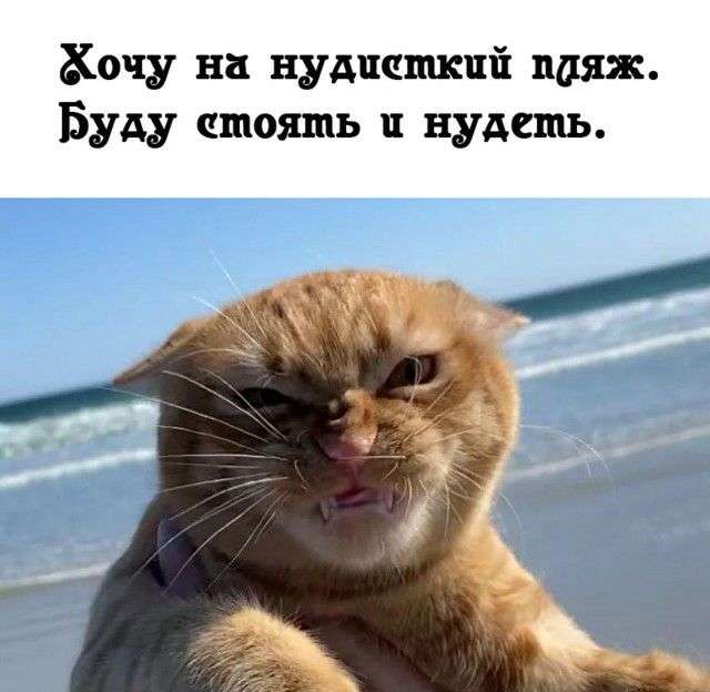 Хочу на нудпашкпй пдяж Буду стоять нудешь