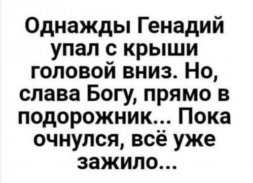 Однажды Генадий упал с крыши головой вниз Но слава Богу прямо в подорожник Пока очнулся всё уже зажило