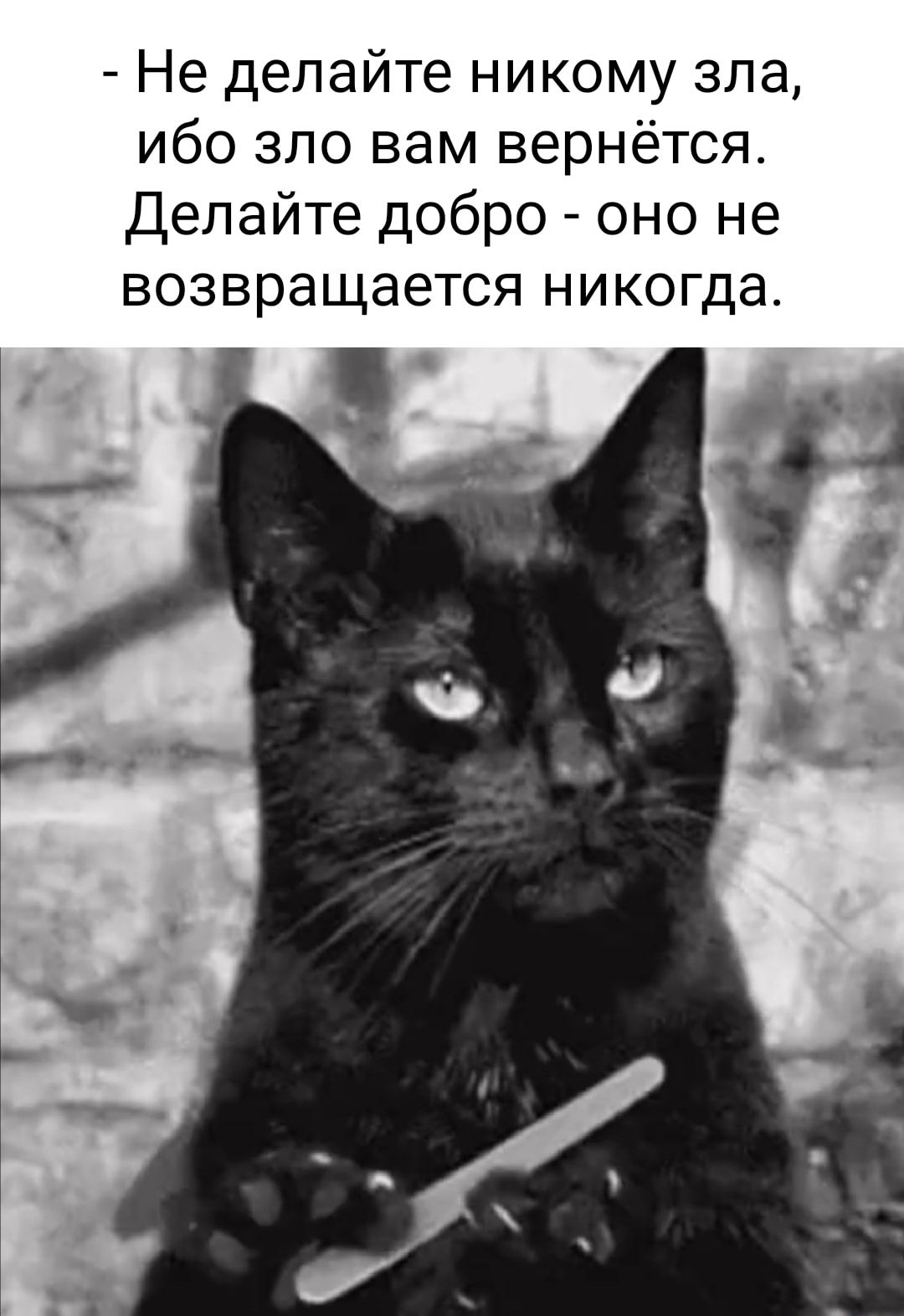 Не делайте никому зла ибо зло вам вернётся Делайте добро оно не возвращается никогда